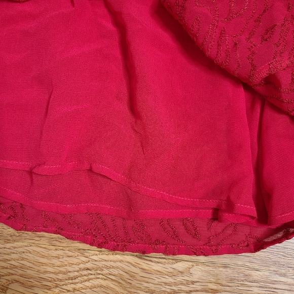 NEW All Saints Size 0 Red Embroidered Rosi Ani Dress - Picture 9 of 11